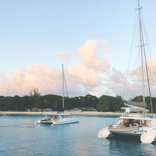A tranquil marina scene with sailboats anchored on calm turquoise water and a tree-lined shore under a pastel sky.
