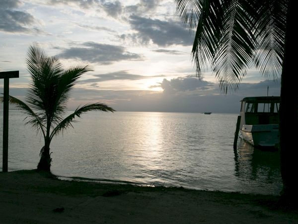 A tranquil beach at sunset with palm trees, calm water, and a boat docked by the shore, silhouettes silhouetting the scene.