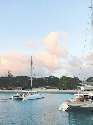 Two luxury yachts anchored near a sandy shoreline with palm trees, calm blue water, and a pastel sky. Always ends with a period.