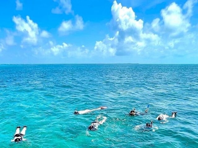 Divers swimming in clear blue ocean under a bright sky with fluffy clouds; they drift near the surface near a calm horizon.