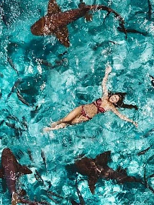 A person swims in turquoise water surrounded by numerous sharks circling around.