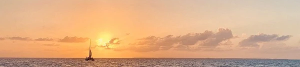 A calm ocean at sunset, with a sailboat and a distant bird gliding above the waves.