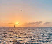 A calm ocean at sunset, with a sailboat and a distant bird gliding above the waves.