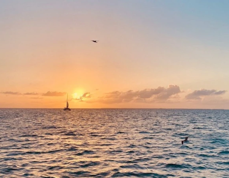 A calm ocean at sunset, with a sailboat and a distant bird gliding above the waves.