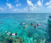 Snorkelers swim in clear turquoise ocean beside a boat under a bright blue sky dotted with clouds.