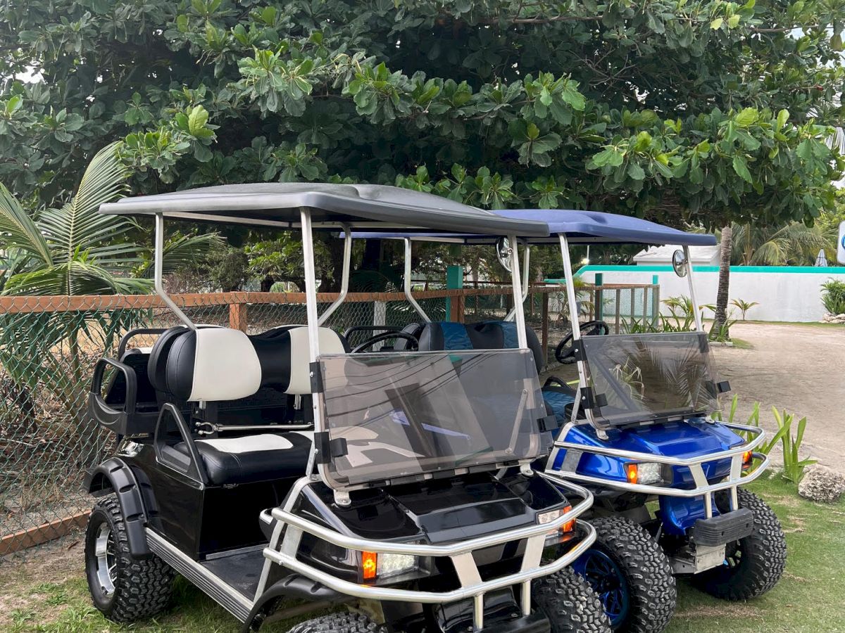 A blue-and-black golf cart/utility vehicle is parked on grass beside a chain-link fence under leafy trees.